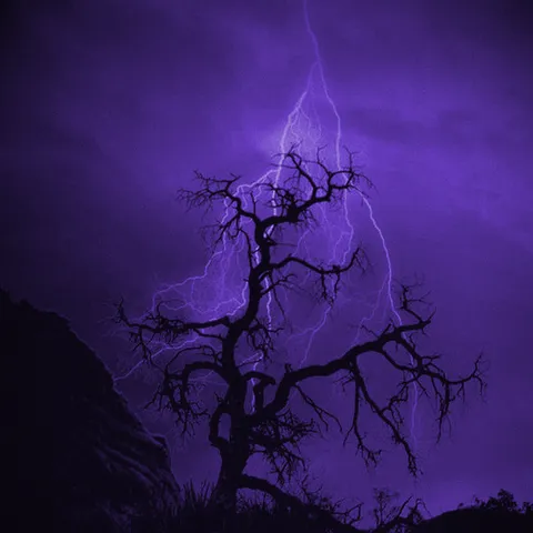 avatar-c0101f0c-7788-44fc-824e-dfd93b2c2243.png