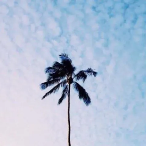 avatar-c30996c7-338c-4d75-bef4-77d447b170e1.jpg