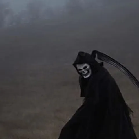 avatar-c356a7d8-43cb-48bd-8f11-a0f30f34f1e7.jpg