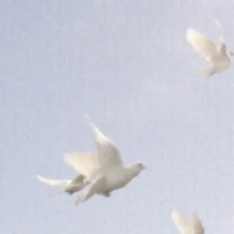 avatar-c6e7c9a6-d397-4f30-b16f-b83a35caa623.jpg