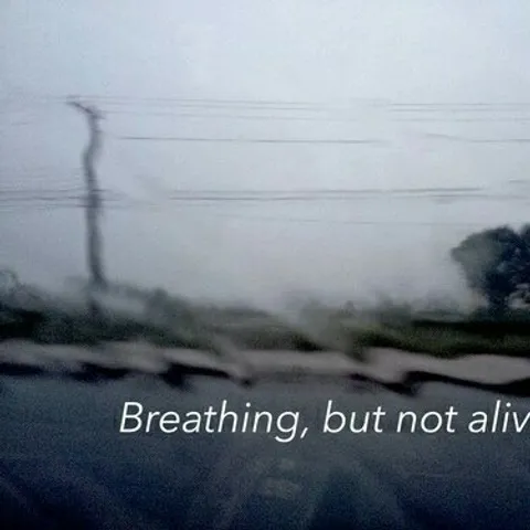 avatar-c95e6212-8f40-4862-8f6b-bfacff9c8e9c.png