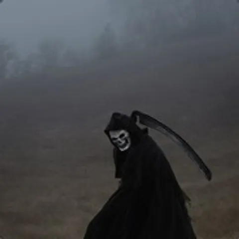 avatar-c9603239-71ad-4dd8-82af-cbe40027bfda.jpg
