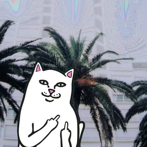 avatar-c97313d5-ea52-42f4-882c-84fcf9d3b712.jpg