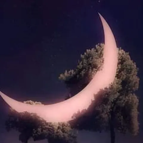avatar-cc9b505f-bb7e-4431-a2eb-1c85e06ca1c2.jpg