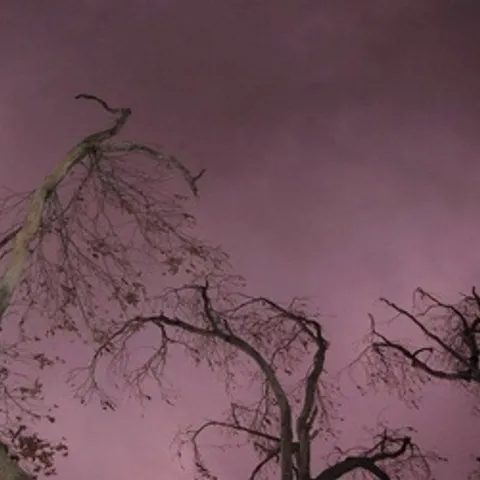 avatar-cdce5f9a-7f36-4234-b88b-b49055163e4c.jpg