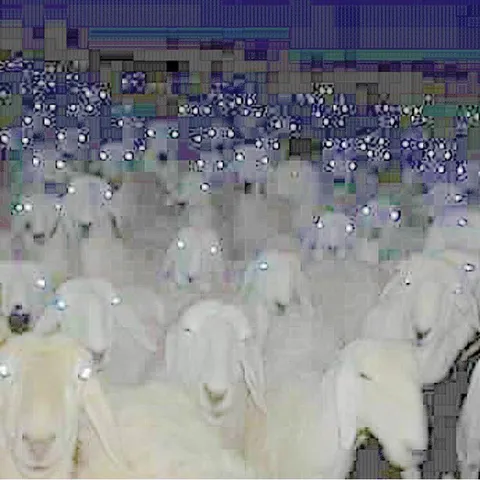 avatar-cfd8ac87-f3e4-4b8c-ad69-0b6609912d07.jpg