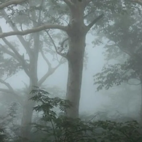avatar-d33e37c8-8cad-4535-824c-c6e2f7305c59.jpg