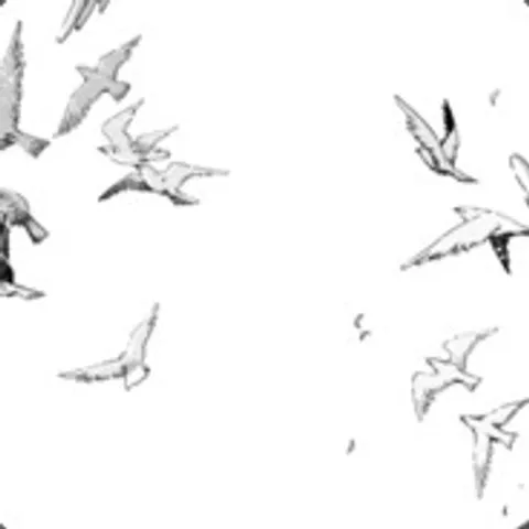 avatar-da4c4b3a-a5d6-499c-9f54-bc35e6119f62.jpg
