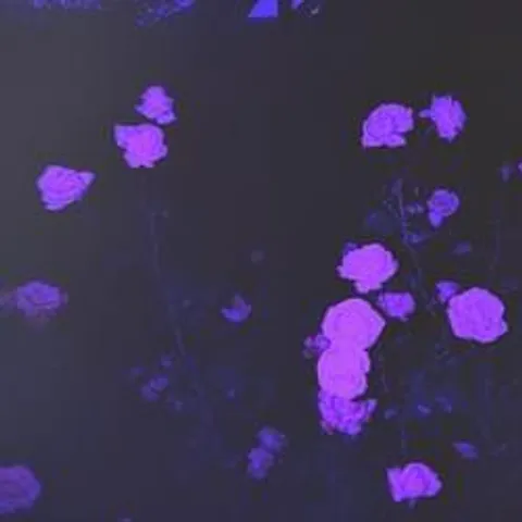 avatar-db2fa2de-b970-46fc-9ef6-d9b046305d91.jpg