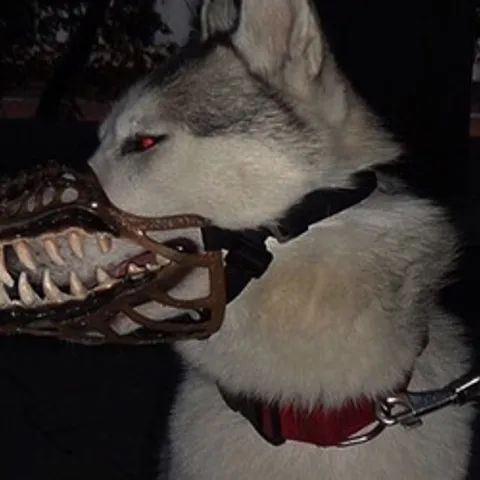 avatar-dea10b80-6304-4b70-bd9e-081f098aac4f.jpg