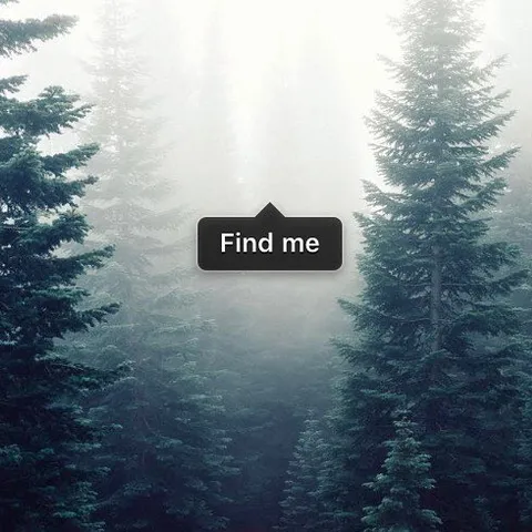 avatar-ef730a8c-8162-4b38-9975-c0cc321c2ce9.jpg