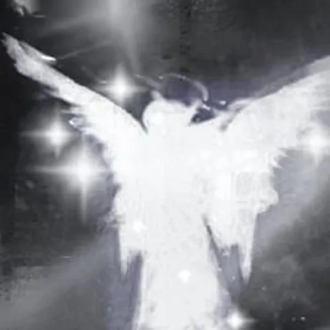 avatar-f149f178-754e-4719-9ec8-503705b416e7.jpg