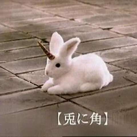 avatar-f60a1826-4edb-4226-b121-f1539e36992a.jpg