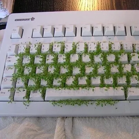 avatar-f62a31ba-598f-4acb-9e4c-b0c106f2b3d3.jpg