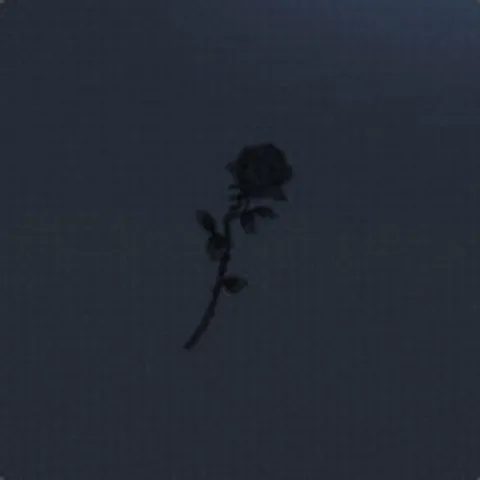 avatar-f6947702-0ab7-4c70-a701-0c1bb9f57c7b.jpg