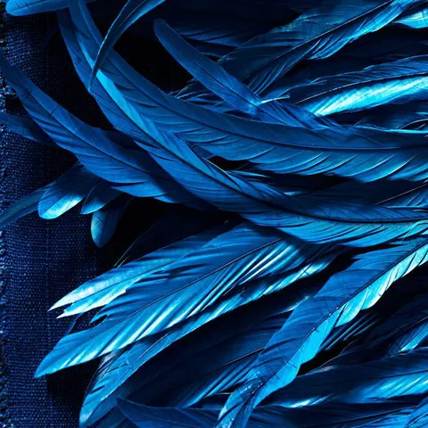 avatar-f7db70c5-46c9-4f21-870e-95c7d1161ea7.jpg