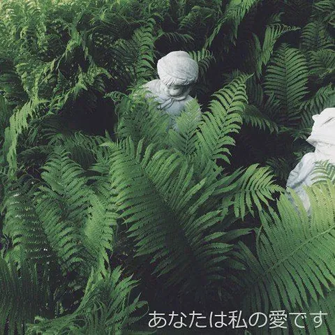 avatar-fad0a9dc-b6e2-4dea-b629-0303ff29ba56.jpg