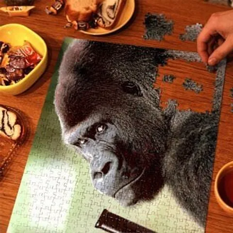 avatar-fc27a1a5-4884-4541-988f-8012f34aae2a.jpg